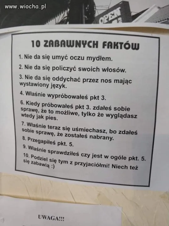 10 Faktów 