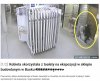 Ludzie są jak zwierzęta.