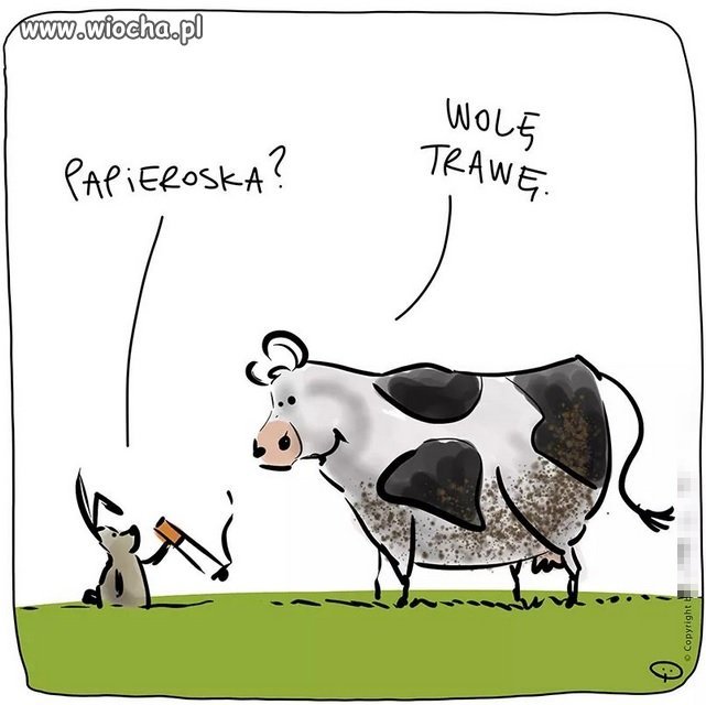 A Wy?