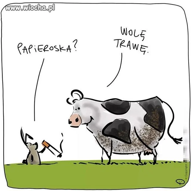 A Wy?