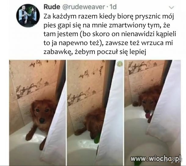 Najlepszy przyjaciel