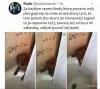 Najlepszy przyjaciel