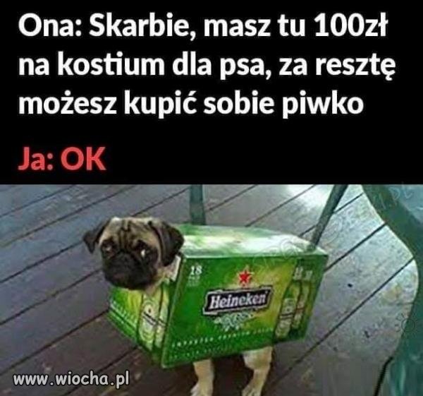 Kostium dla psa