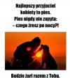 Najlepszy przyjaciel kobiety