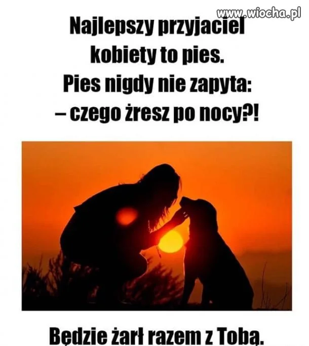 Najlepszy przyjaciel kobiety
