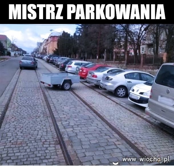 Bezmózgów w tym kraju nie brakuje