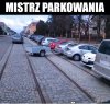 Bezmózgów w tym kraju nie brakuje