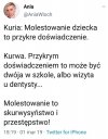 Umniejszanie powagi sprawy