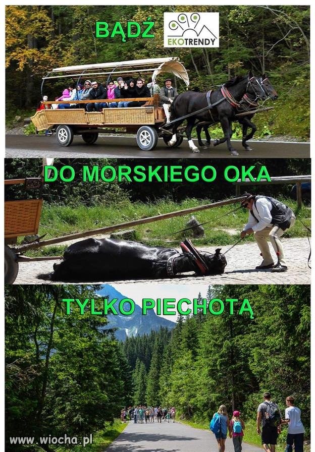 Droga do Morskiego Oka tylko piechotą