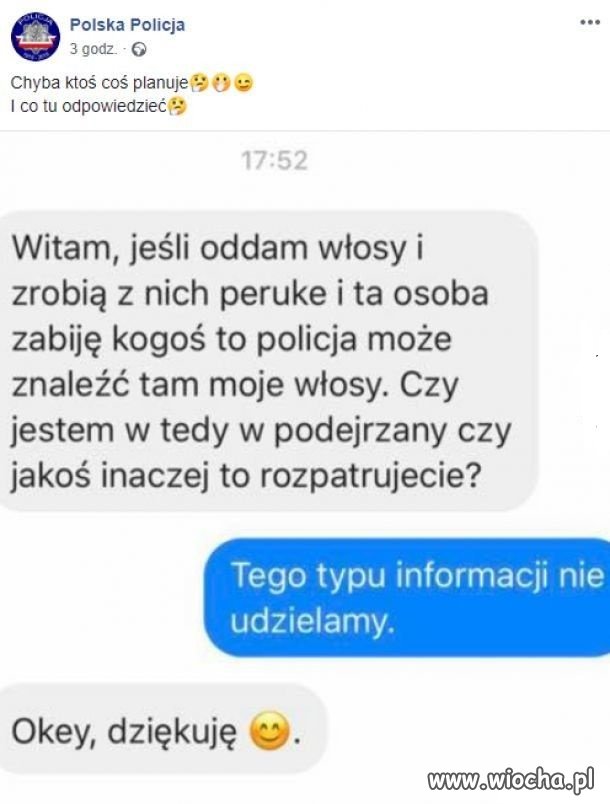 Dociekliwy
