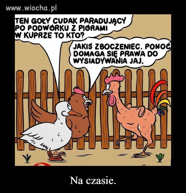 Tytułu brak.