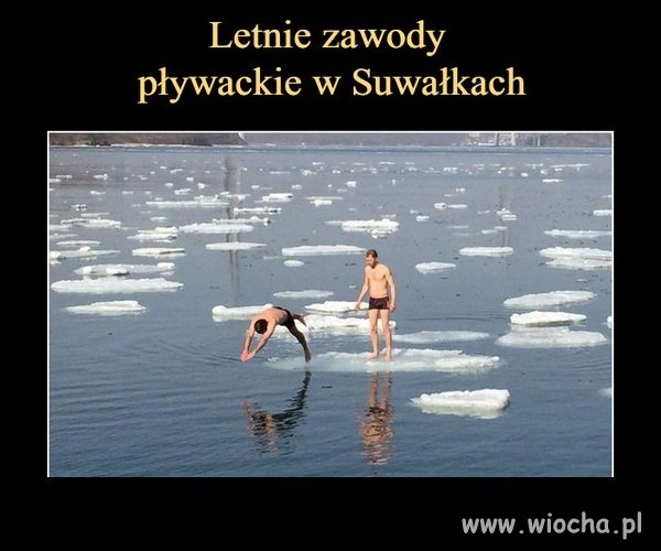 Zawody pływackie...