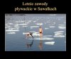 Zawody pływackie...
