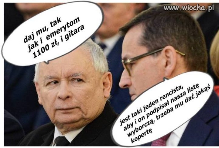 Wszystko dla 