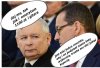 Wszystko dla 