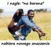 I już teraz wiem dlaczego mowi sie