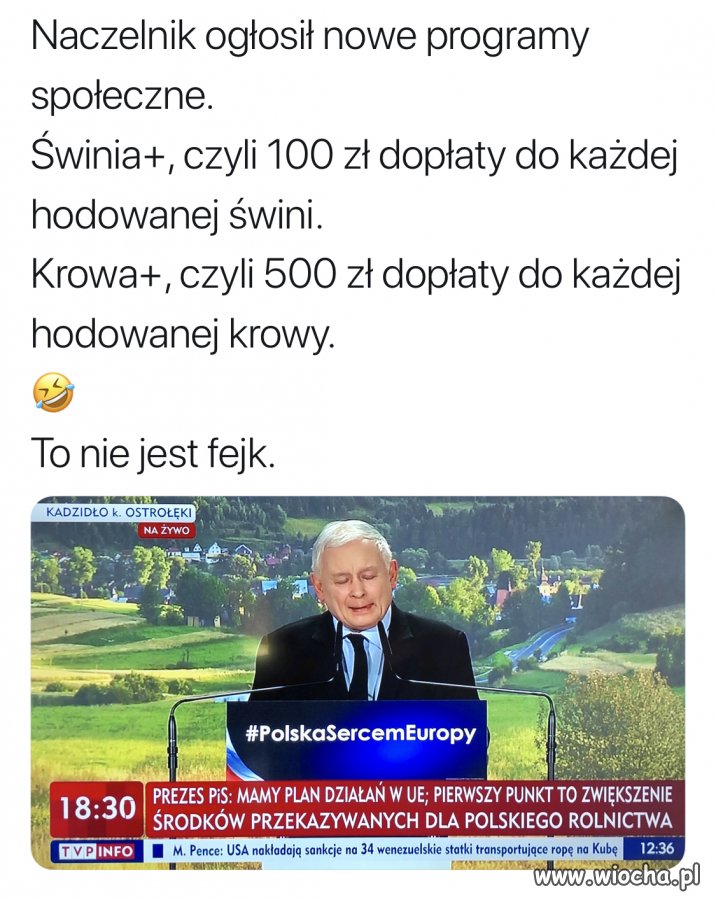 Następny plus 