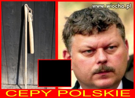 Tak mi się skojarzyło.