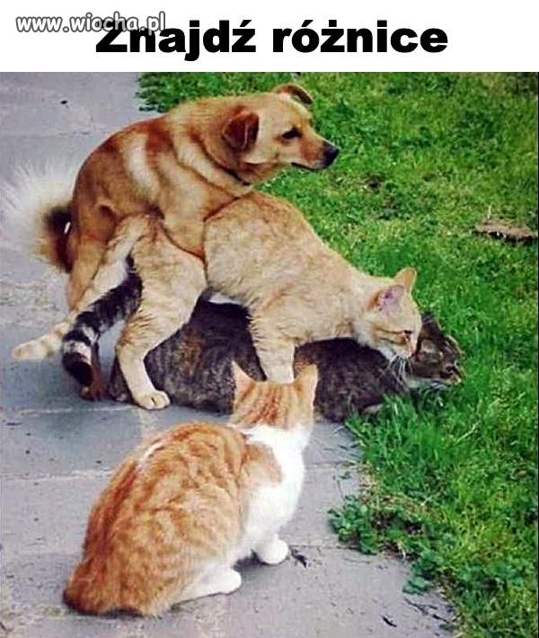 Jak jest ochota