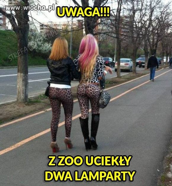 Wiosna