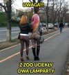 Wiosna