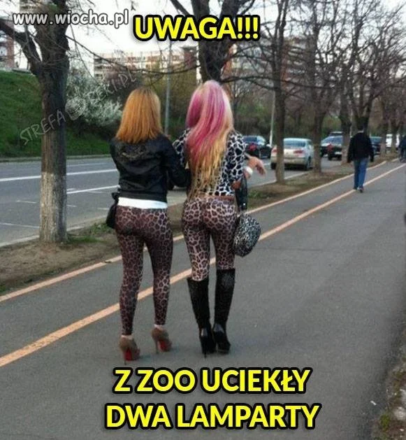 Wiosna