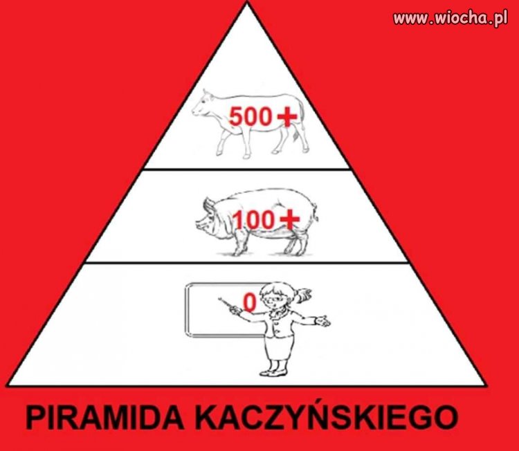 Piramida prezesa