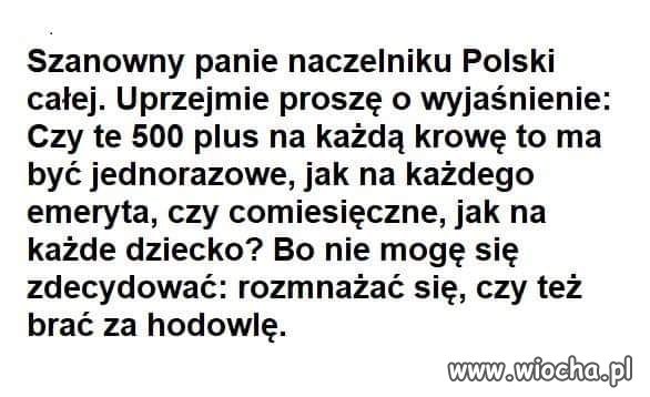 Dobre pytanie