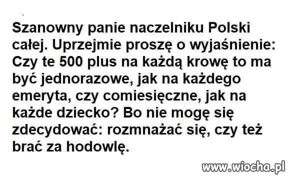 Dobre pytanie