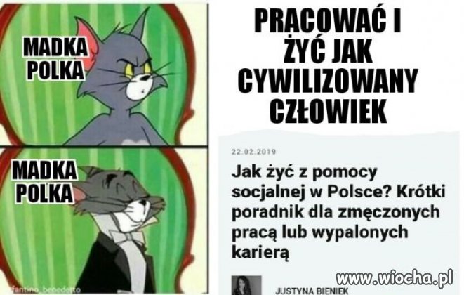 Madka Polka