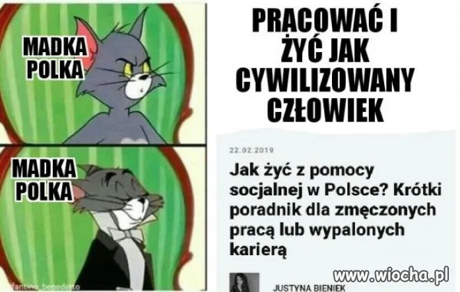 Madka Polka