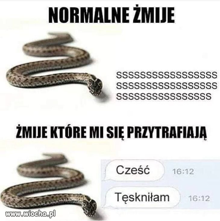 Heheszki