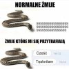 Heheszki