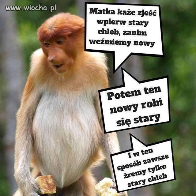Tyle w temacie