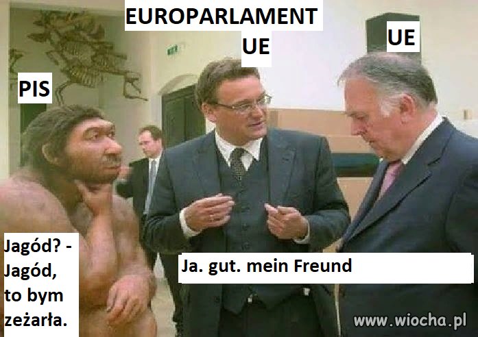 W europarlamencie