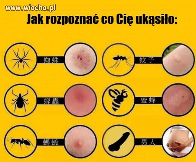 Ślady po