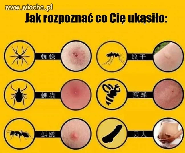 Ślady po