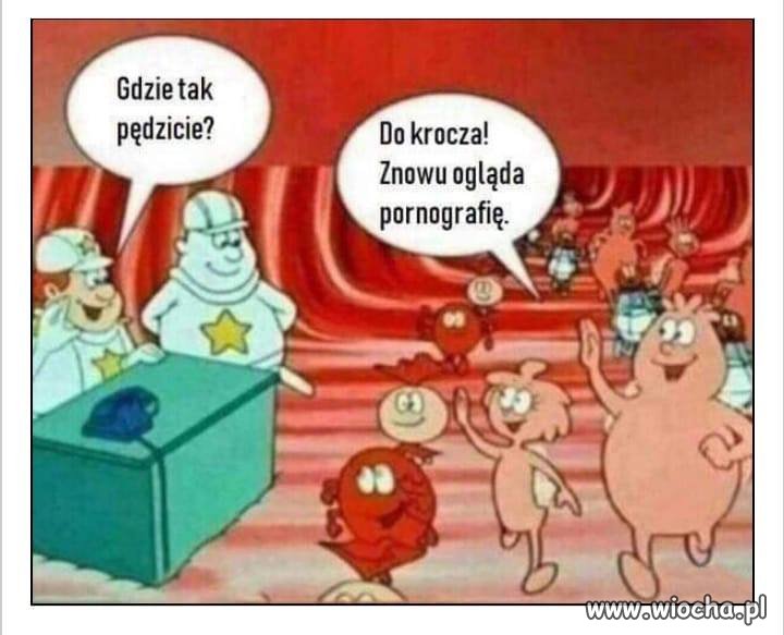 Gdzie tak pędzicie?