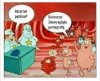 Gdzie tak pędzicie?