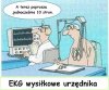 EKG wysiłkowe urzędnika