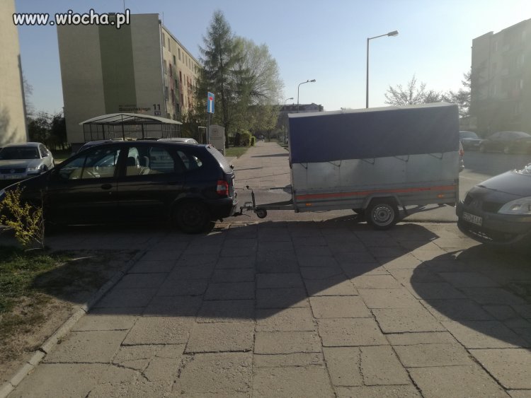 Mistrz parkowania