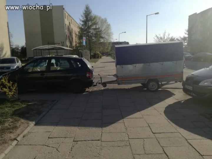 Mistrz parkowania