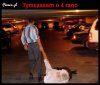 Ocaleni i polegli