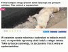 Tymczasem w Indiach