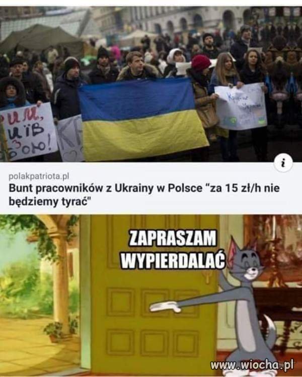 Wypier...!!!