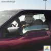 Kuń w samochodzie na gorącym parkingu.