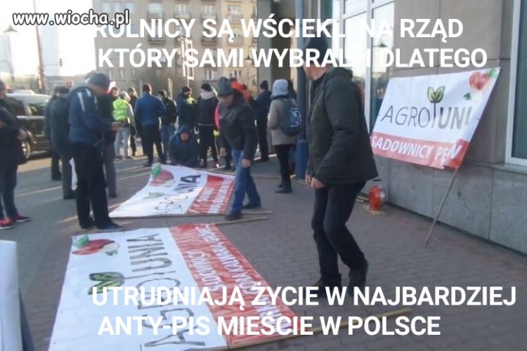 W pale się nie mieści od chłopskiej logiki