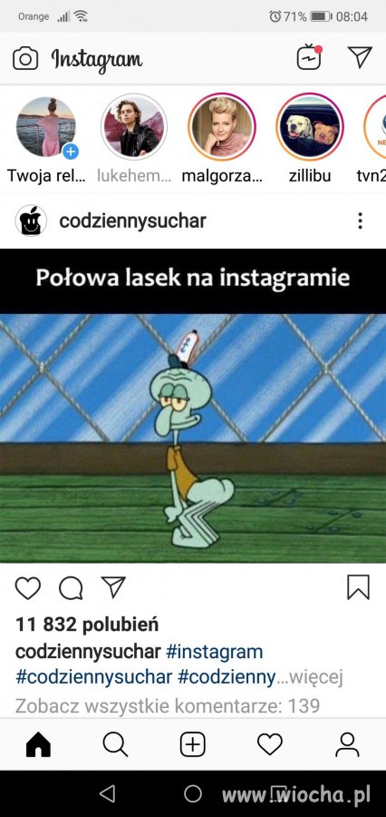 Suchar dnia.