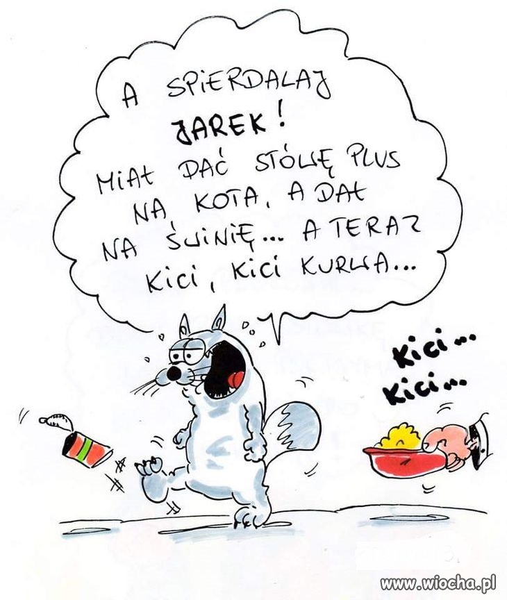 Heheszki polityczne