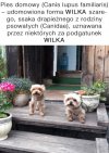 Gdzie popełniono błąd?